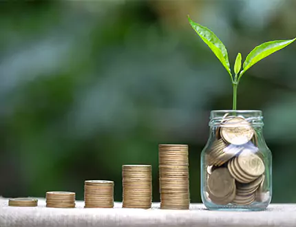 Mutual Funds